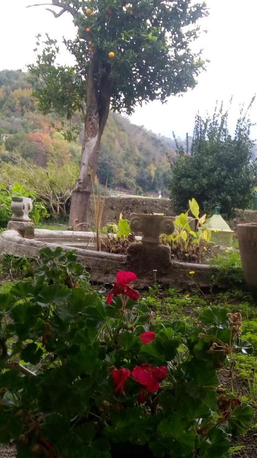 L'Antico Giardino Bed & Breakfast Vietri Екстериор снимка